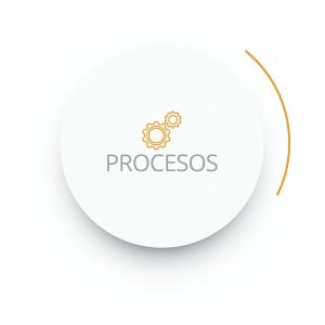 brandbiz_procesos